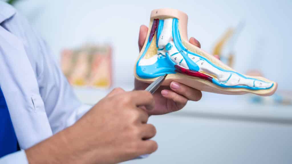 Professional Podiatrist doctor diagnose foot during medical examination of patient, doctor use foot model to explain the problem or injury of bone, structure of ankle, use x-ray to plan a surgery.